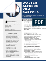 Walter Barzola Vila CV