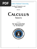 Calculus Sheets