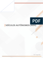 Aula 5 - Desenvolvimento Do Mercado de Agvs e Amrs