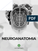 Neuro Anatomia