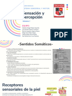 Clase Del Sistema Sensorial y Motora de La Semana 7