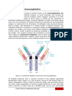 Structure of Immunoglobulins