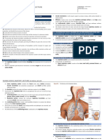 Chapter 23 Respiratory Sytem Transes