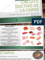 Circuito Productivo de La Carne Geografia