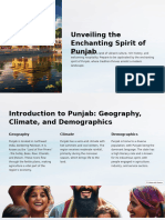 Unveiling The Enchanting Spirit of Punjab