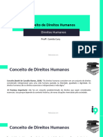 Ebook Complementar (Conceito de Direitos Humanos)