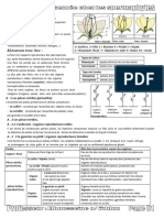 Resumè de Spermaphytes