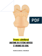 6 - Tronc Cérebral