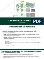 07 - Transporte de Matéria Por Seres Autotróficos