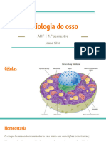 2.1. Sistema Osteo-Articular - Fisiologia Do Osso - Slides