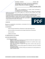 MICROBIOLOGÍA-Semana 7 - Practica 10-Hongos