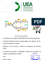 Aula 10 - Metabolismo - Respiração Celular