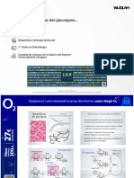 Wuolah Free Tema11Metabolismo Del GlucoIgeno