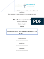 Exercice Mise en Page de Rapport