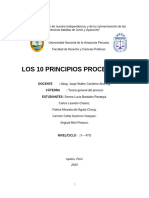 Los Principios Procesales