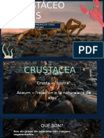 CRUSTACEOS