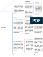 Biologia Evolutiva - Cuadrosinoptico