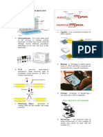 Cell and Molecular Biology - Reviewer 2