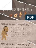 Anthropology 20241104 103157 0000