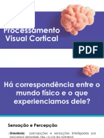 Neuroanatomia Funcional