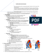 Cardiovascular System Assessment