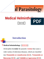 Hookworm - Nematode