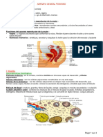 Aparato Genital Feminino