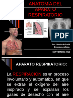 Anatomia Del Aparato Respiratorio - pptx1