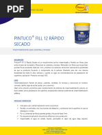 Pintuco Fill 12 Rapido Secado