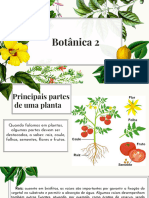 Botânica 2