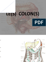 Colons 2020 2021 DR Lahreche