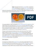 Orange (Fruit) - Wikipedia