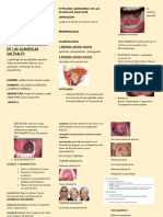 Patología Quirúrgica de Las Glándulas Salivales