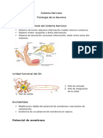 Fisiología Del Sistema Nervioso