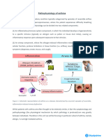 6pathophysiology of Asthma