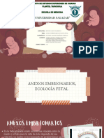 Anexos Embrionarios, Ecología Fetal