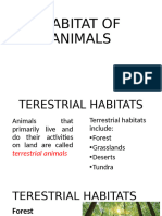 Habitat of Animals