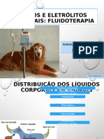 Fluidos e Eletrólitos Corporais