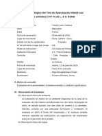 Informe Psicológico Del Test de Apercepción Infantil Con Figuras Animales (CAT-A) de L. & S