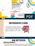 Presentacion Proyecto Trabajo Creativo Organico Multicolor PDF