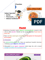 Plastids and It's Types