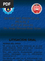 Litigacion Oral