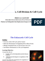 Cell Division