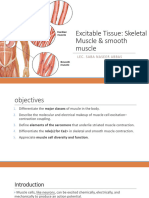 Muscles Physiology