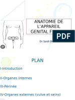 3 - Anatomie Appareil Génital Fémimin