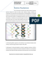 Leccion Ndeg04 Acidos Nucleicos