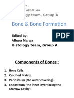 7-Bone & Bone Formation