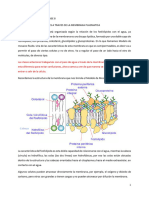 Anatomía y Fisiología Clase 8