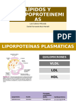 Copia de Nuevo - Lipidos