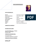 Curriculum-Vitae (1) - 25